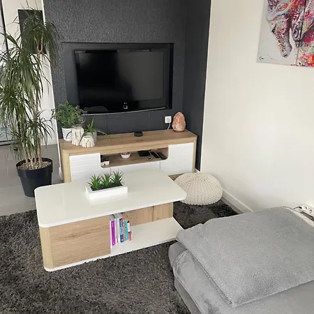Cosy 4 A 6 Pers - Parking Prive - 5 Min Colmar - Poele A Pellets - 2 Terrasses Apartman