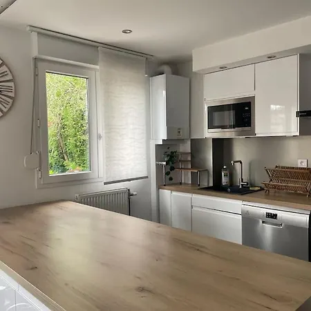 Cosy 4 A 6 Pers - Parking Prive - 5 Min Colmar - Poele A Pellets - 2 Terrasses Apartment Wintzenheim