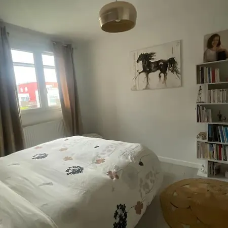 Cosy 4 A 6 Pers - Parking Prive - 5 Min Colmar - Poele A Pellets - 2 Terrasses Apartman Wintzenheim