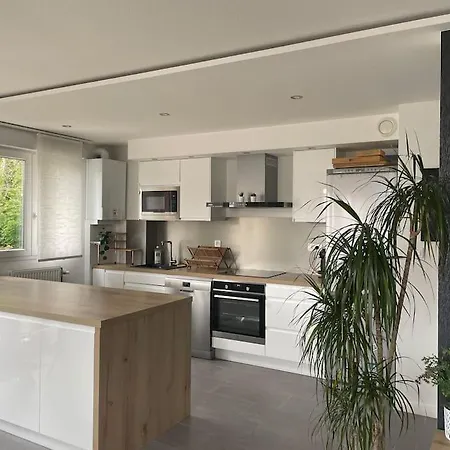 Cosy 4 A 6 Pers - Parking Prive - 5 Min Colmar - Poele A Pellets - 2 Terrasses Wintzenheim