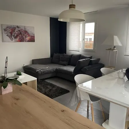 Apartment Cosy 4 A 6 Pers - Parking Prive - 5 Min Colmar - Poele A Pellets - 2 Terrasses Wintzenheim