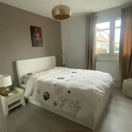 Apartman Cosy 4 A 6 Pers - Parking Prive - 5 Min Colmar - Poele A Pellets - 2 Terrasses