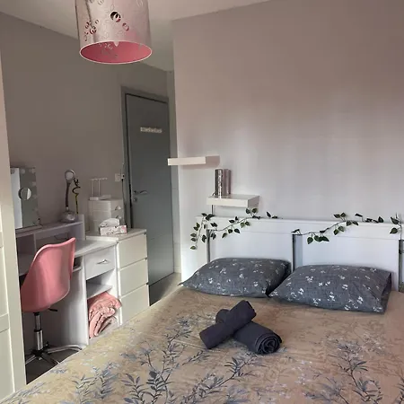 Apartman Cosy 4 A 6 Pers - Parking Prive - 5 Min Colmar - Poele A Pellets - 2 Terrasses *