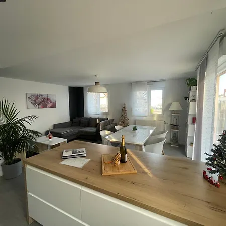 Cosy 4 A 6 Pers - Parking Prive - 5 Min Colmar - Poele A Pellets - 2 Terrasses *