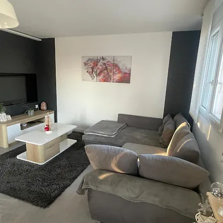 Cosy 4 A 6 Pers - Parking Prive - 5 Min Colmar - Poele A Pellets - 2 Terrasses