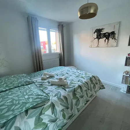 Cosy 4 A 6 Pers - Parking Prive - 5 Min Colmar - Poele A Pellets - 2 Terrasses