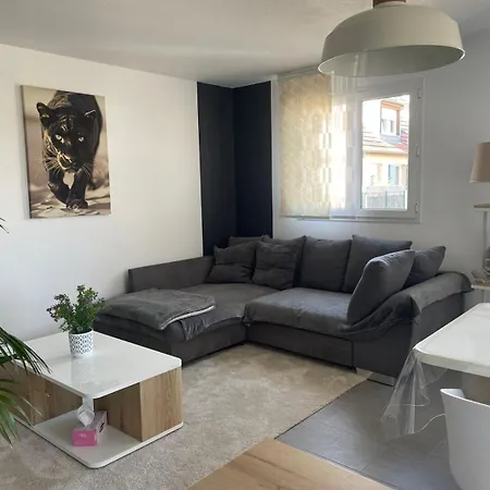 Apartman Cosy 4 A 6 Pers - Parking Prive - 5 Min Colmar - Poele A Pellets - 2 Terrasses